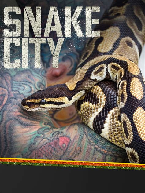 城市有蛇|城市有蛇 第一季 Snake City Season 1 (2014)